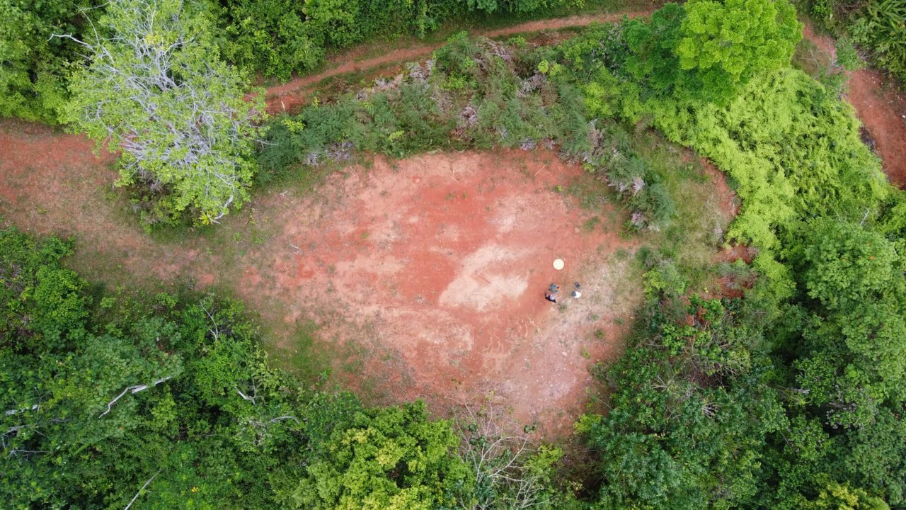 CONSERVATION AND DEVELOPMENT LAND WITH OCEAN VIEW IN SIERPE, COSTA RICA - Gallery image 24