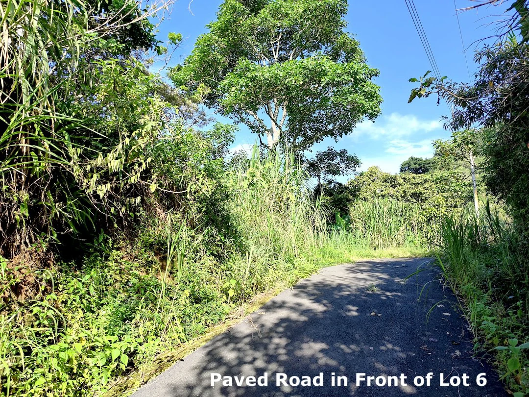 Eco-Lot #6: Ready-to-Build Sustainable Haven with Gulf & Mountain Views - photo 3