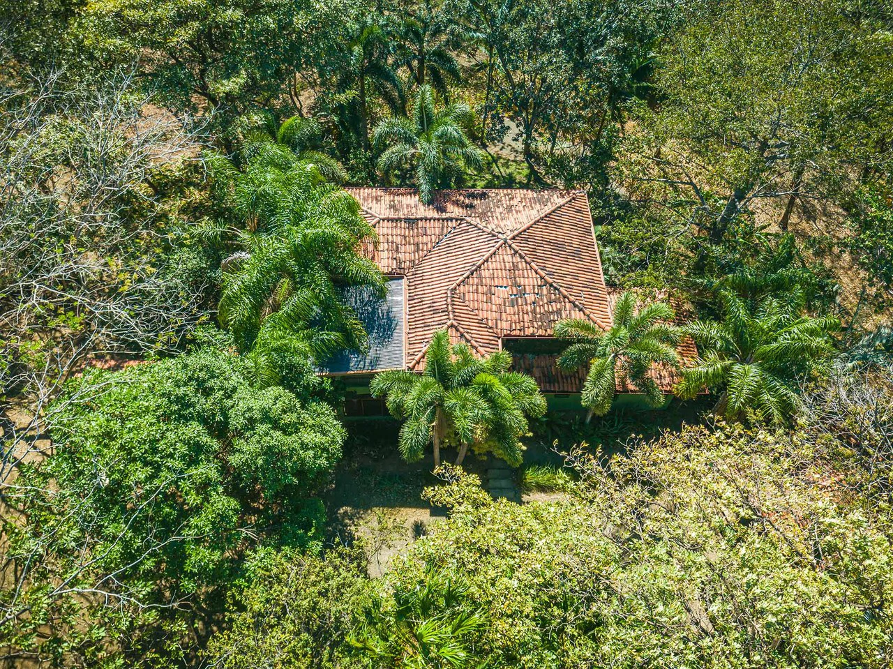 Casa Verde: Charming Family Home in Tierra Pacifica - Gallery image 3