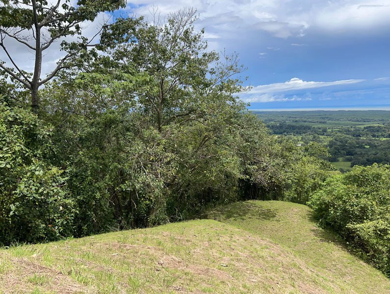 Panoramic 180 Degree Ocean View Lot Ready To Build Close To Ojochal - Gallery image 21