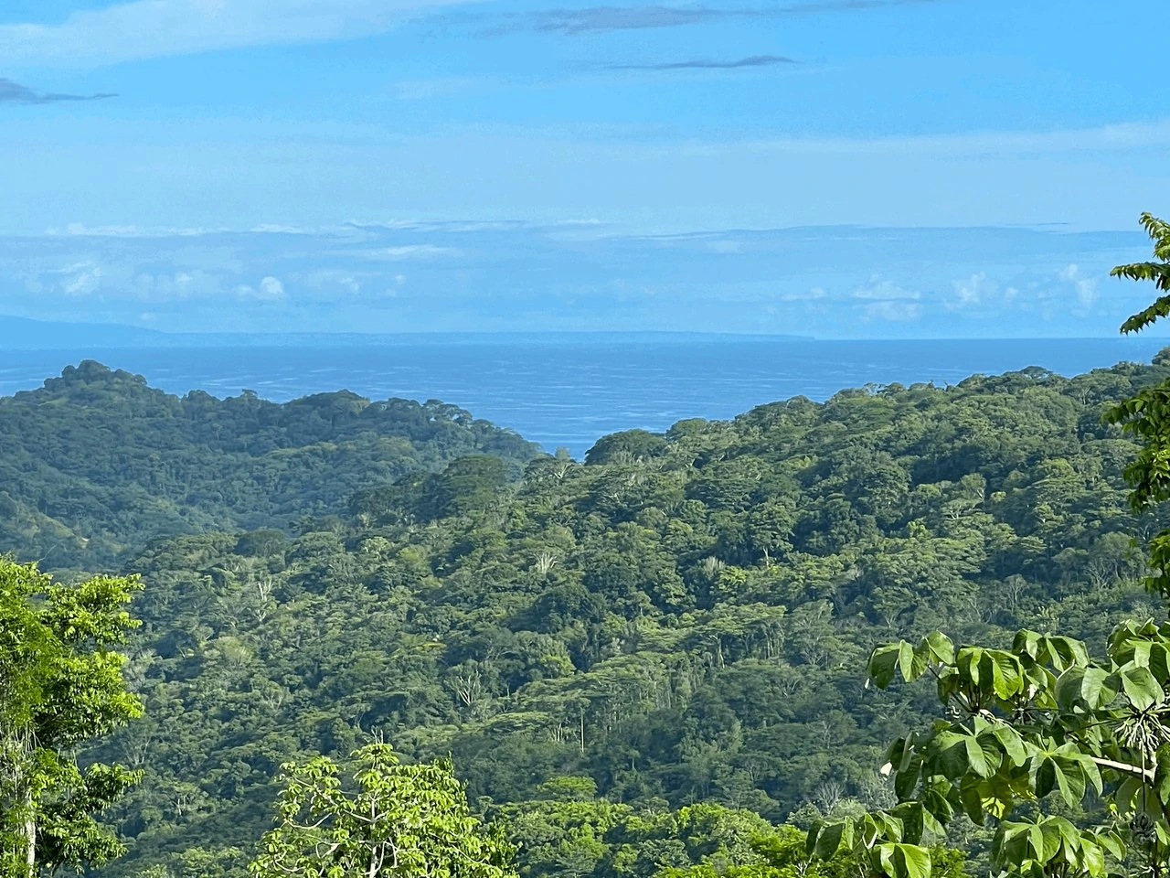 7.56 ACRES – Ocean View Acreage In Lagunas, 50% Flat And Usable, Public Road, ASADA Water, Fruit Trees!!!!