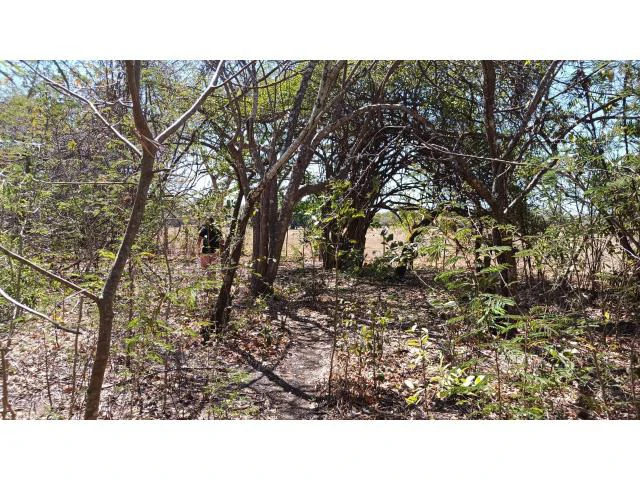 3 Flat topography properties for sale near Playas del Coco, Great building potential in the province of Guanacaste - Gallery image 8