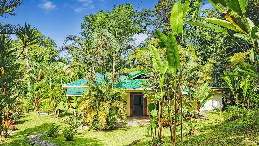 ID 498 - 3 Bd/3Ba w/Pool on 21,000m2 Lot, Punta Uva: Hilltop Estate with Expansive Outdoor Living, Infinity Pool, and Solar Power on 2.1 Hectares of Titled Land - Gallery image 2