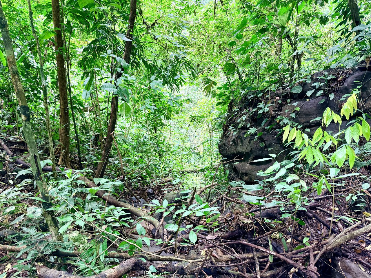 Uvita Development Farm - 40.47 Acres Estate - photo 17