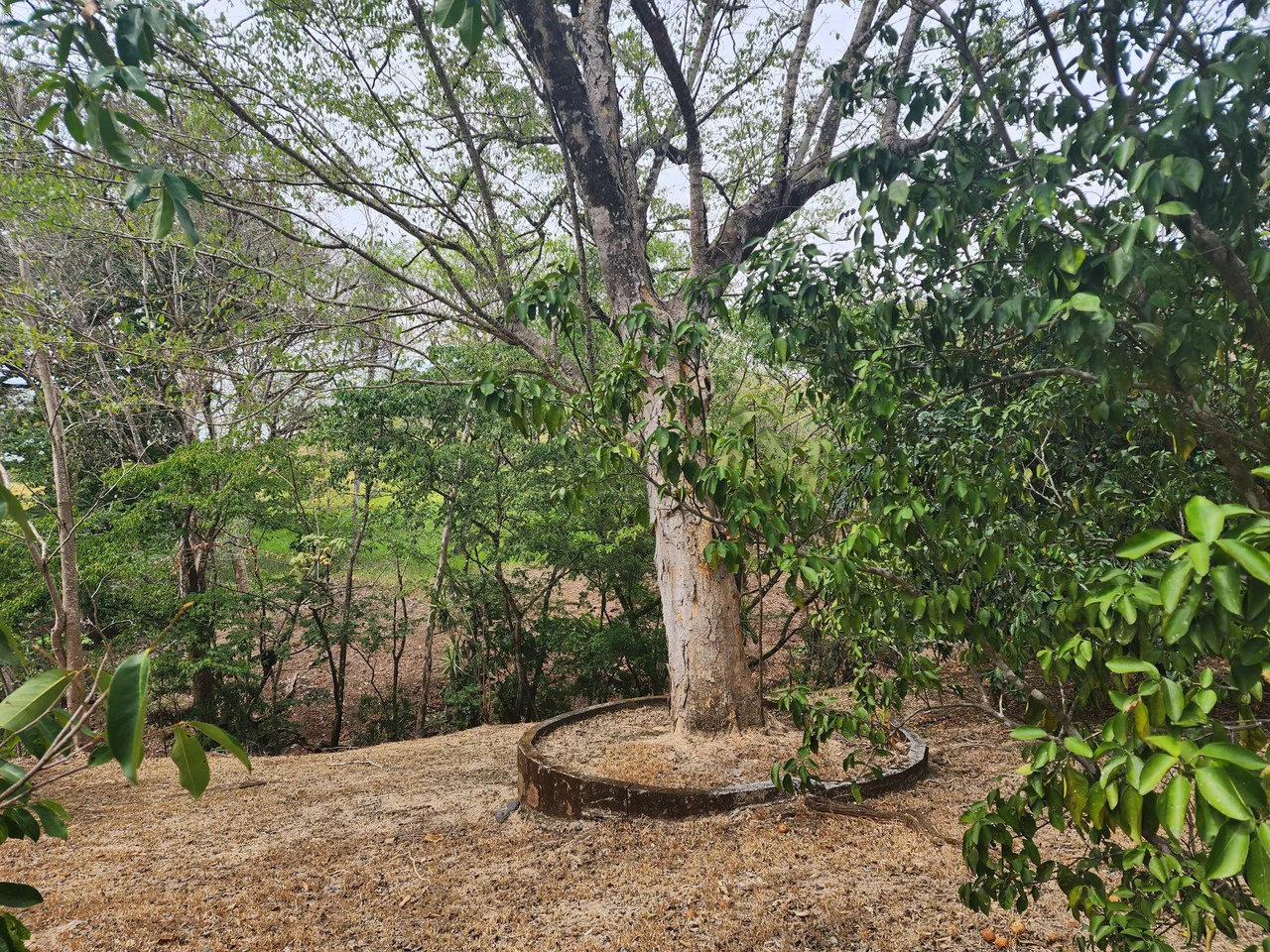 Countryside and Mountain Home Construction Site For Sale in San Juan de Mata - Gallery image 15