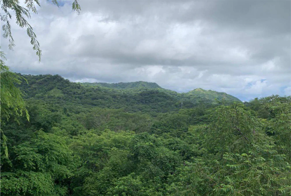 WR # 14: Spectacular Luxury Ocean View Home for Sale in the Exclusive Blue Zone of Costa Rica - Gallery image 14
