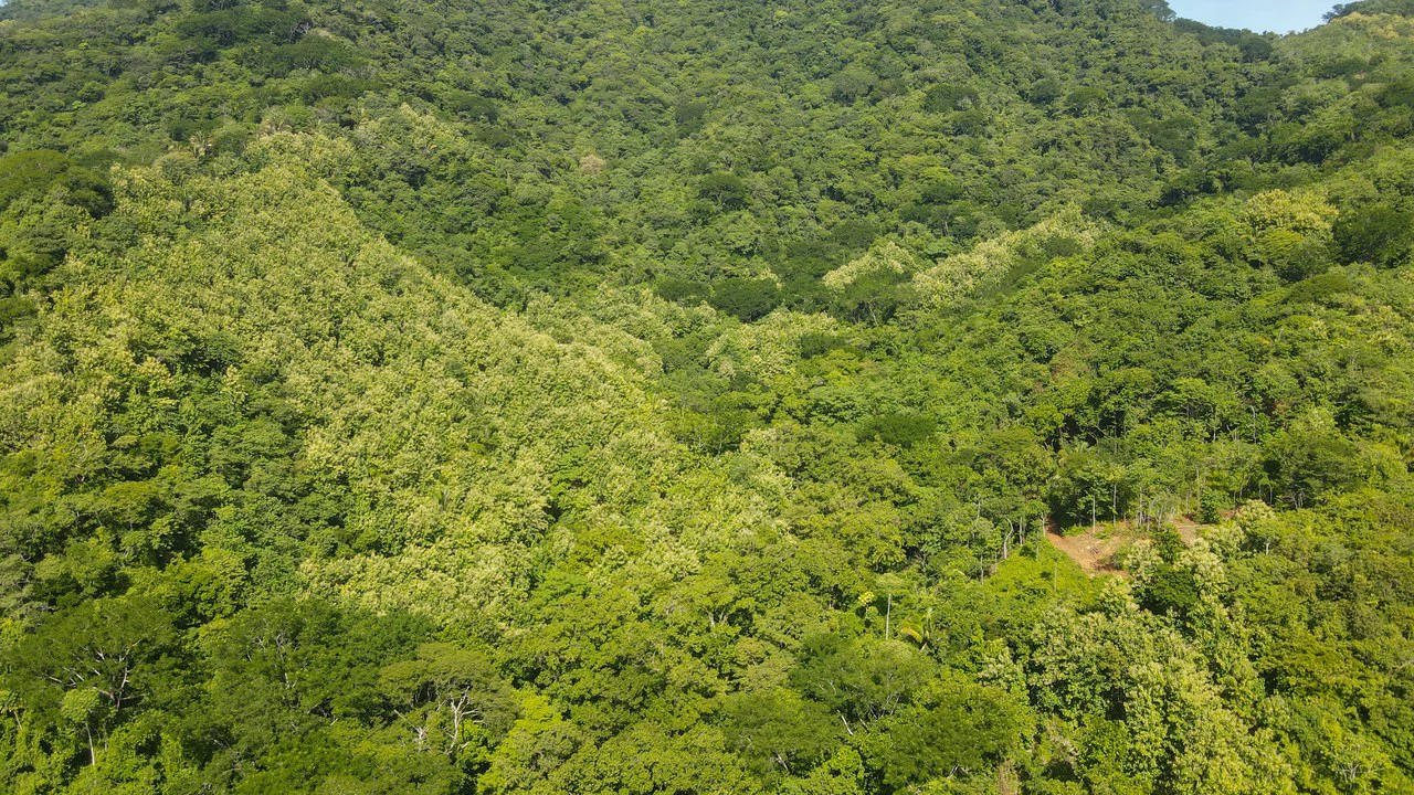 Farm for sale Bejuco Nandayure Guanacaste Costa Rica - Gallery image 8