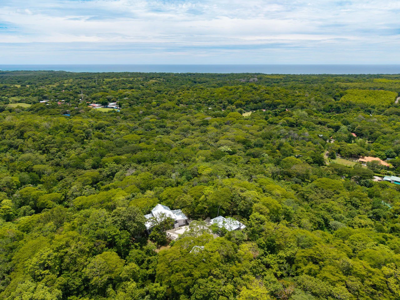 Casa de Las Barbas & Casa Libertad: Two Ocean View Homes on 3.5 Acres in Pura Jungla - photo 33