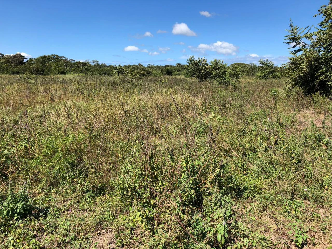 Property near the airport in Liberia – Strategic investment opportunity - Gallery image 5
