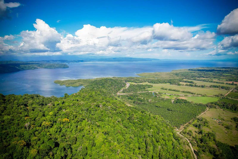 Ocean View & Primary forest 55-ha Rincon de Osa - Gallery image 35