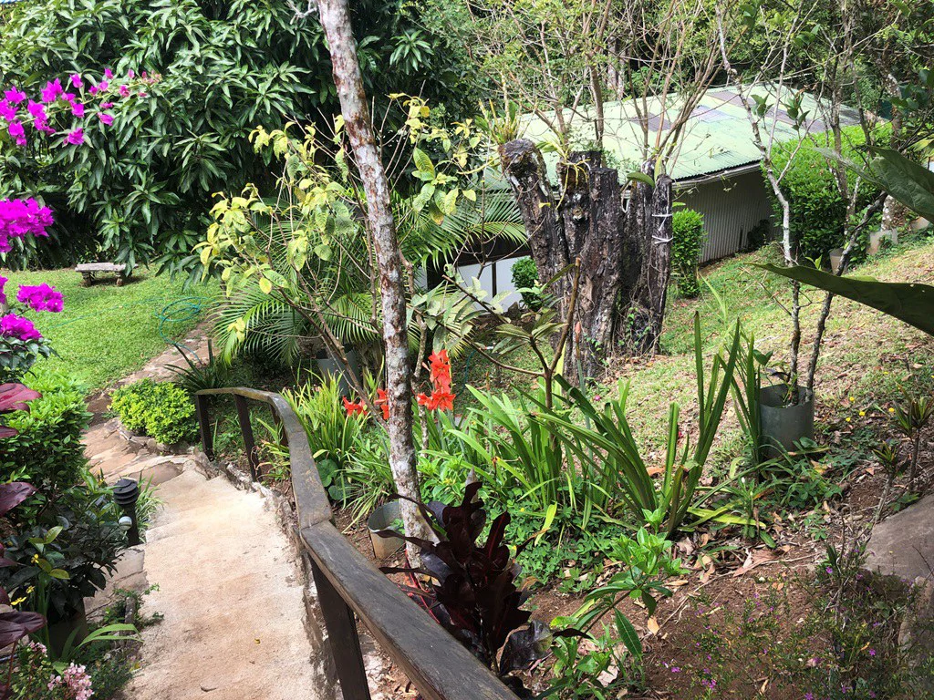 TURNKEY SOLUTION ECO MOUNTAIN LODGE FOR SALE - Gallery image 26