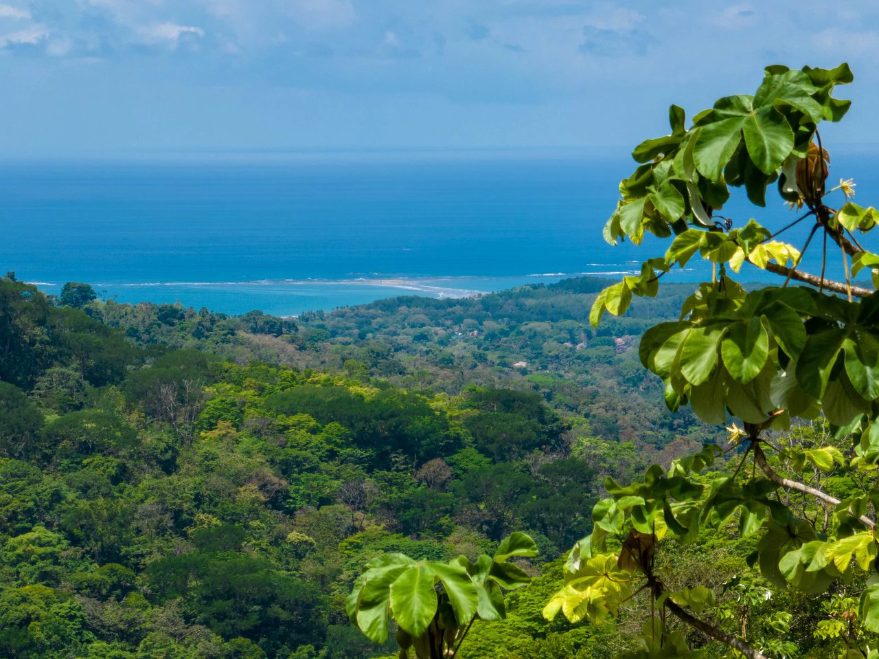 101 Acre Waterfall Riverfront and Ocean View Farm in Playa Uvita - Gallery image 11