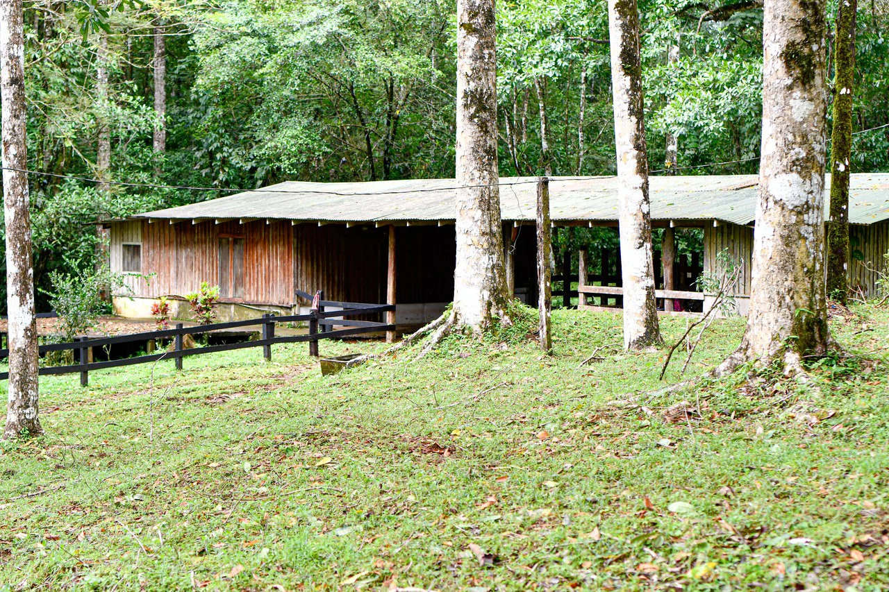 Finca Macadamia: 154-acre Rainforest Paradise with two Houses and Trails! - Gallery image 9
