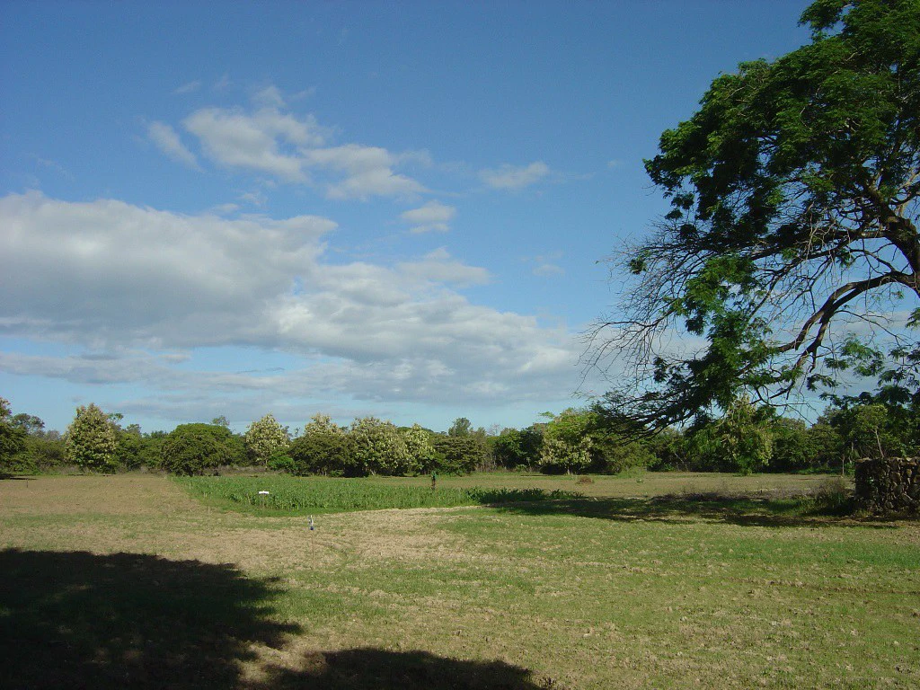 Strategic Commercial Property on the Inter-American Highway – Liberia - Gallery image 15