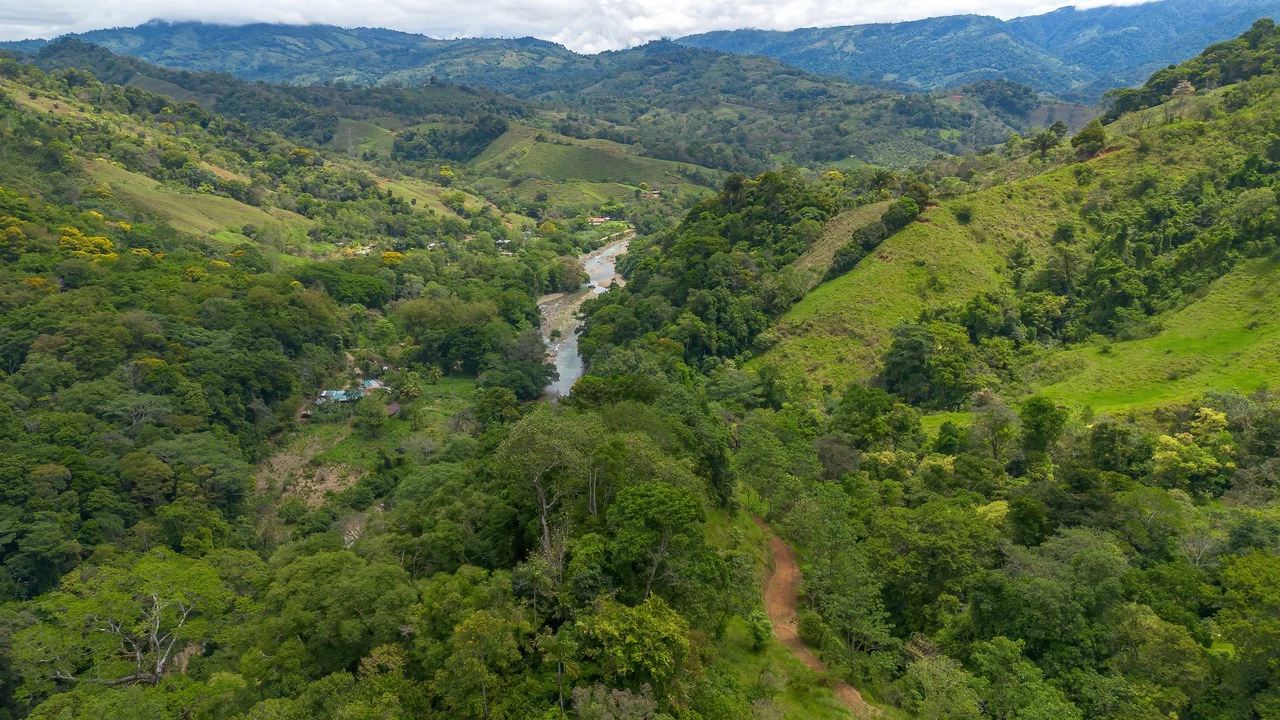 60+ Hectares in Platanillo | Own Your Own Mountain in Costa Rica - Gallery image 37