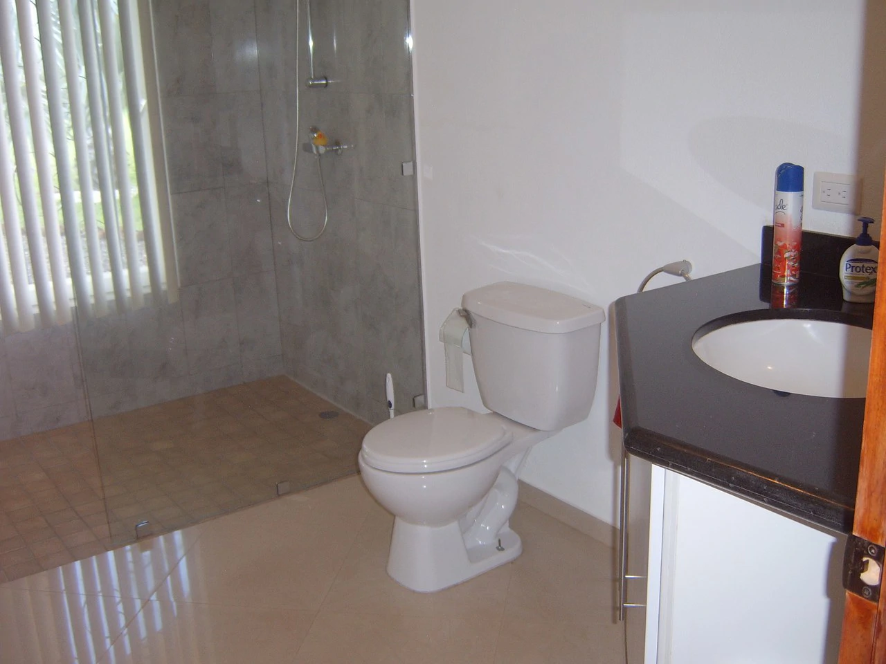 Casa Cañas Dulces C103: Countryside House For Sale in Cañas Dulces - Gallery image 12