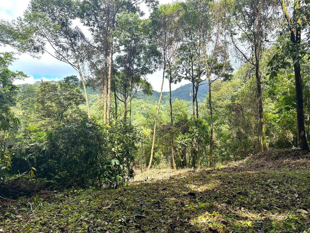 Mountain View Building Lot in Prestigious Gated Community With Private Waterfall & Two Building Sites: Mountain Home Construction Site For Sale in Portalon - Gallery image 14