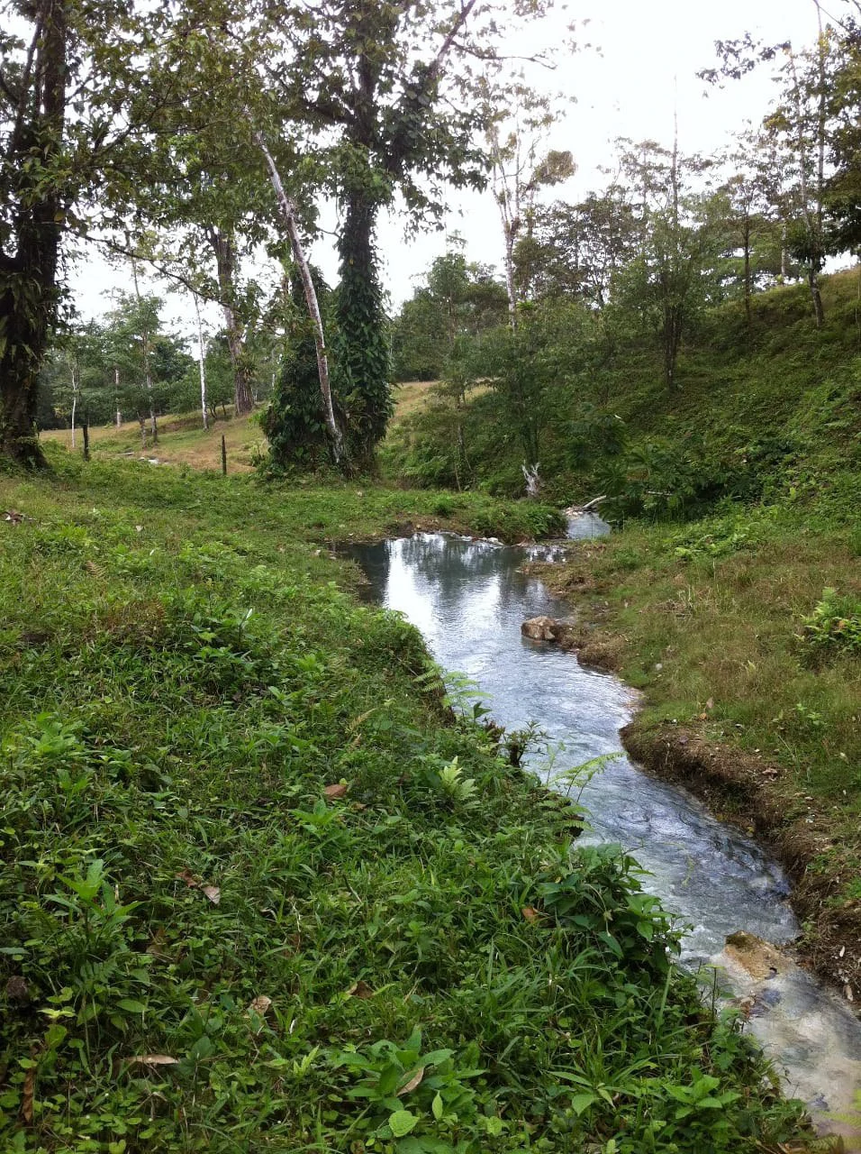 Cold & Hot springs surrounded by an overgrown farm, taken back by nature - Gallery image 84