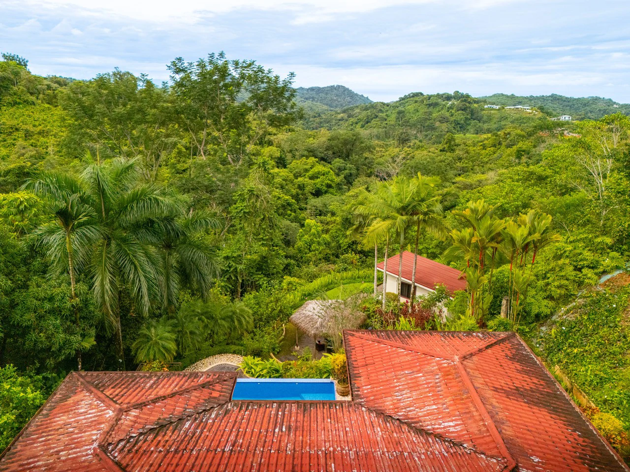 Ocean Mountain View with Privacy! Casa Carpe Diem: Mountain House For Sale in Ojochal - Gallery image 8