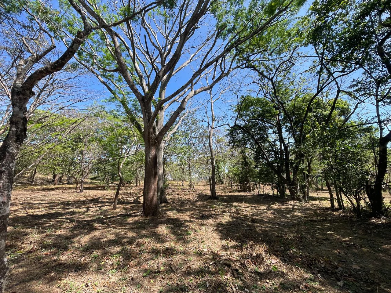 Ocean view property for sale Rodeo Ciudad Colon San Jose Costa Rica - Gallery image 6