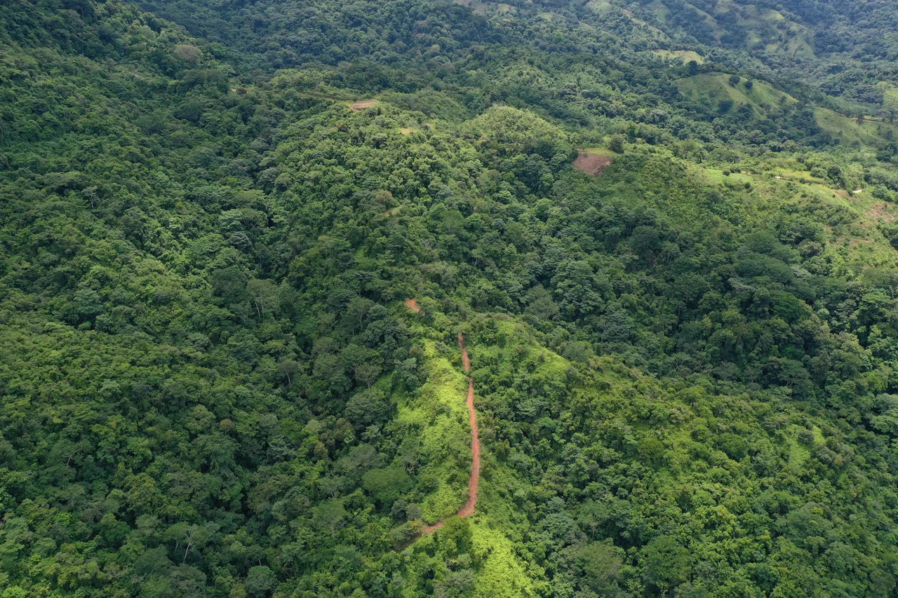 137 Acre Ocean View Farm with Riverfront in Southern Costa Rica - Gallery image 15