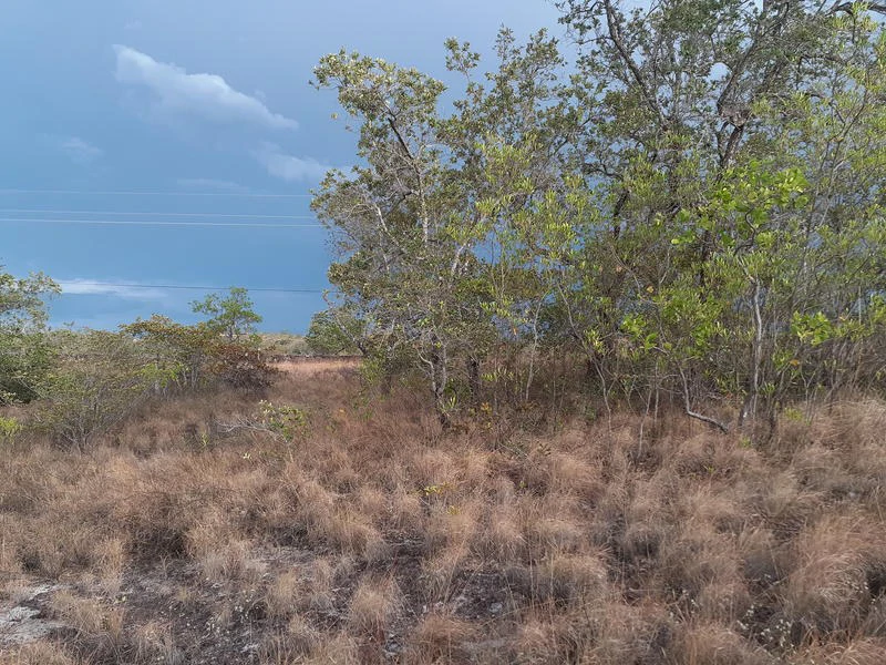T37: Mountain Home Construction Site For Sale in Curubandé - Gallery image 2