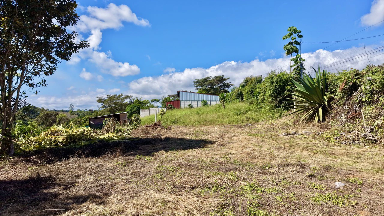 Home Construction Site For Sale in Pavones - photo 23