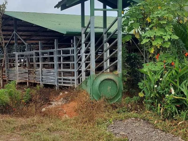 Livestock Farm | Titled property located in Santa Eduviges - Gallery image 24