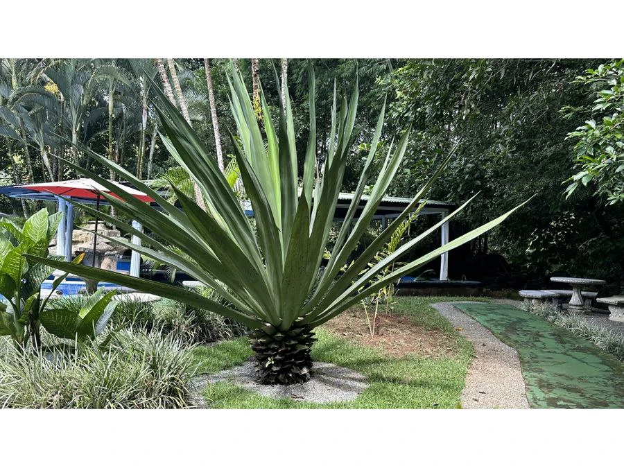 LUXURY HOTEL IN SAN RAMÒN SUR - Gallery image 19