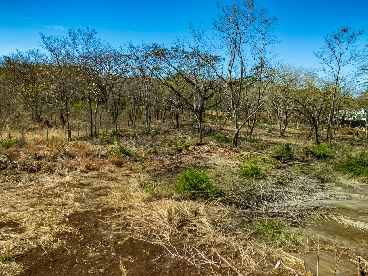 1Ha Avellanas: Boutique Development Opportunity Steps from the Sand - Gallery image 3