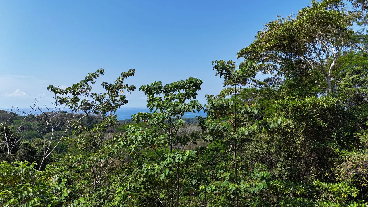Exceptional Development Opportunity 71 acre Riverfront & Ocean View in Hatillo - Gallery image 9