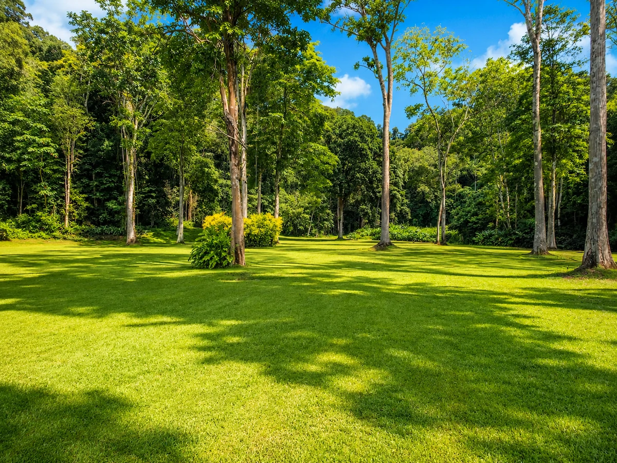 Spectacular Coastal Rainforest Estate Property - Gallery image 13