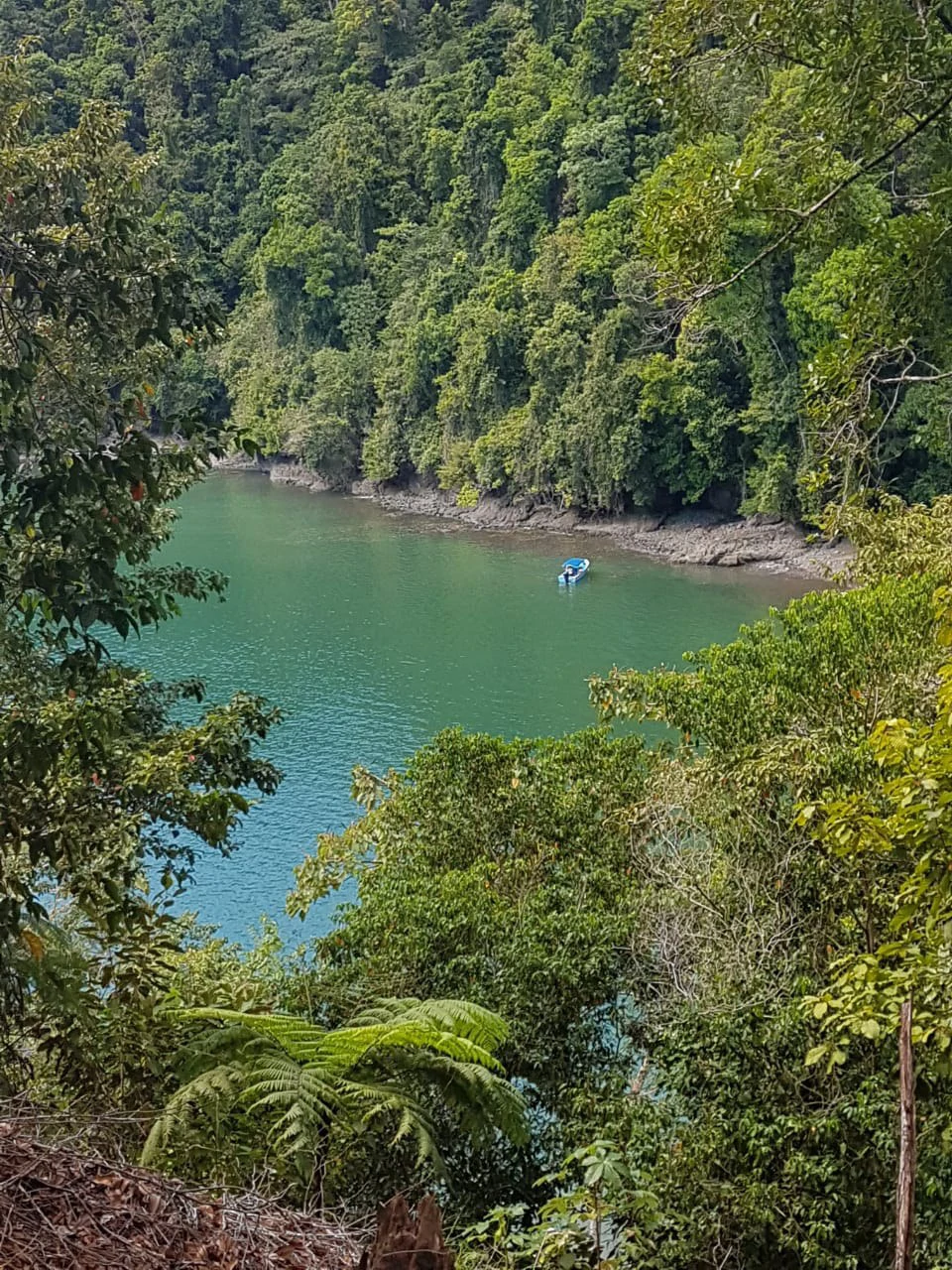 Nature Lover's Marina Resort Investment: Costa Rica South-Pacific Gulf Coast Marina, Rainforest Resort - Gallery image 6