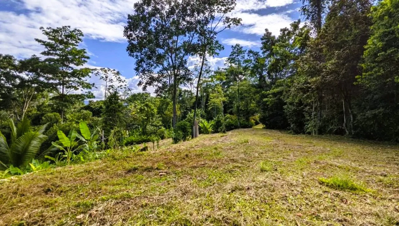 ID 4203: Land in Gated Community, Owner Financing available - Gallery image 7