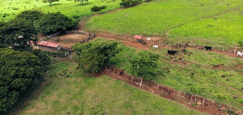 Finca Los Angeles: JUST REDUCED ! 281 Acre Farm with River, Lake, and Sunset views - Gallery image 10