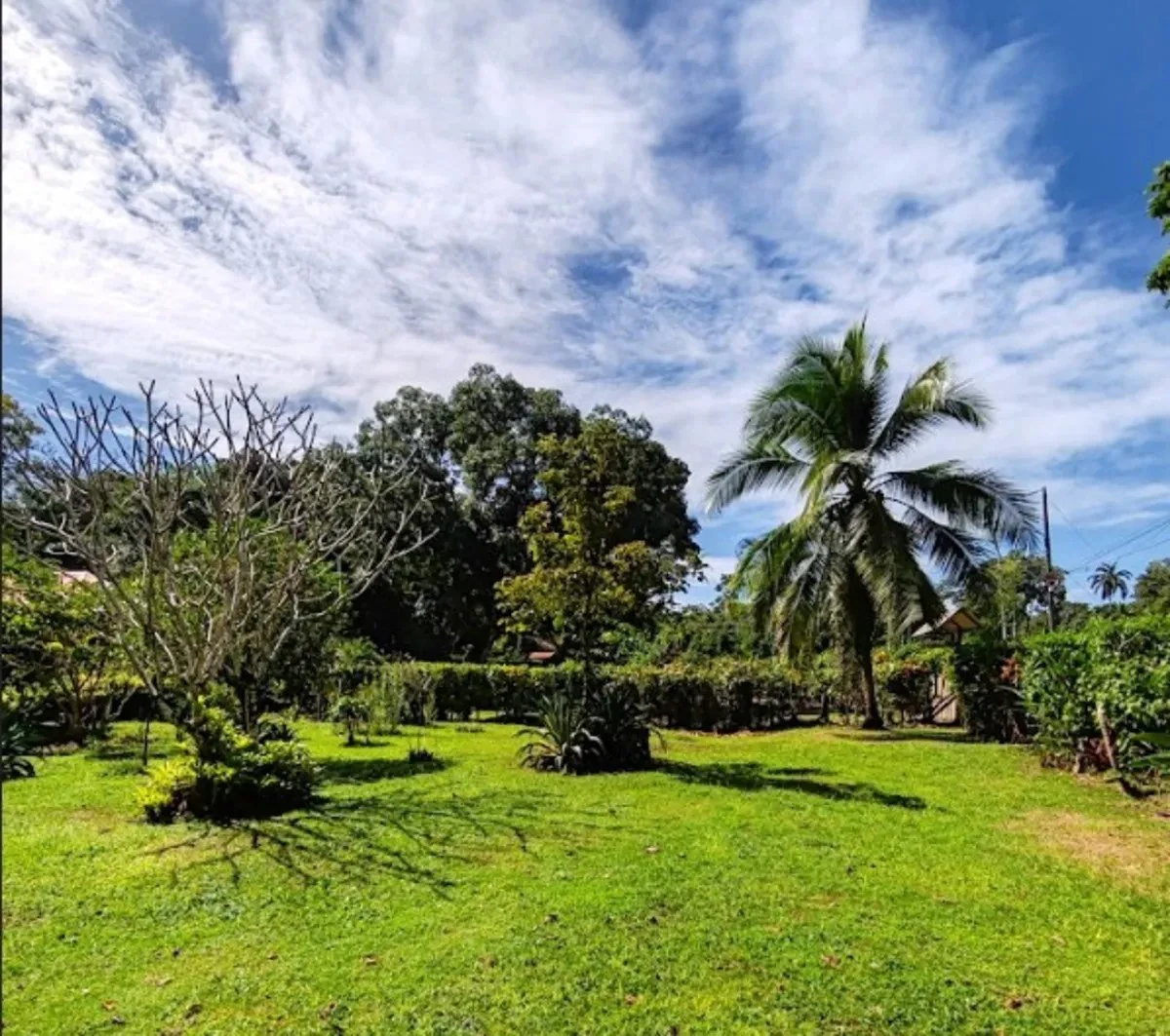 ID 1014: 641 sqm Flat Titled Lot for Sale in Cahuita - Gallery image 4