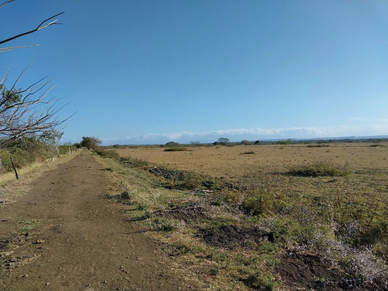Bonita Finca de 187 Acres / 75 Ha. con Pozos y Ojo de Agua en Filadelfia - Costa Rica: Countryside, Lakefront and Riverfront Agricultural Land For Sale in Fildelfia - Gallery image 3