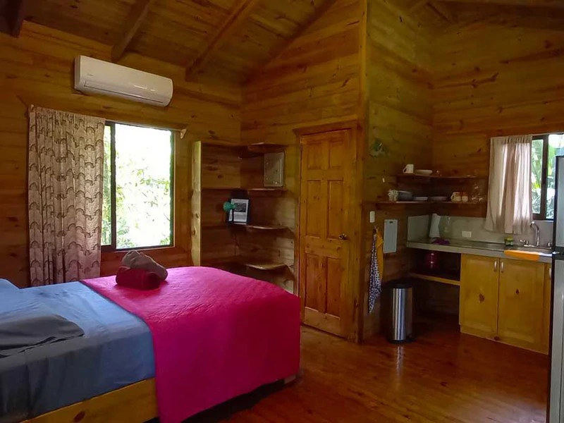 8 Cabinas with Swimming Pool on Lush Jungle Property in Uvita - Gallery image 9