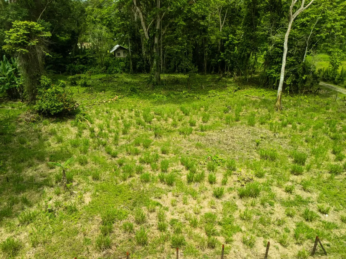 ID 1134: 3960m² Flat Development Lot Near Cahuita, Costa Rica - photo 7