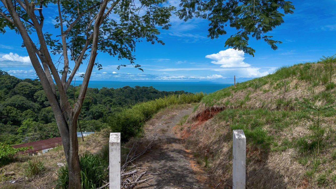 Luxury Ocean View Lot in Piñuelas - Premier Building Site - Gallery image 8