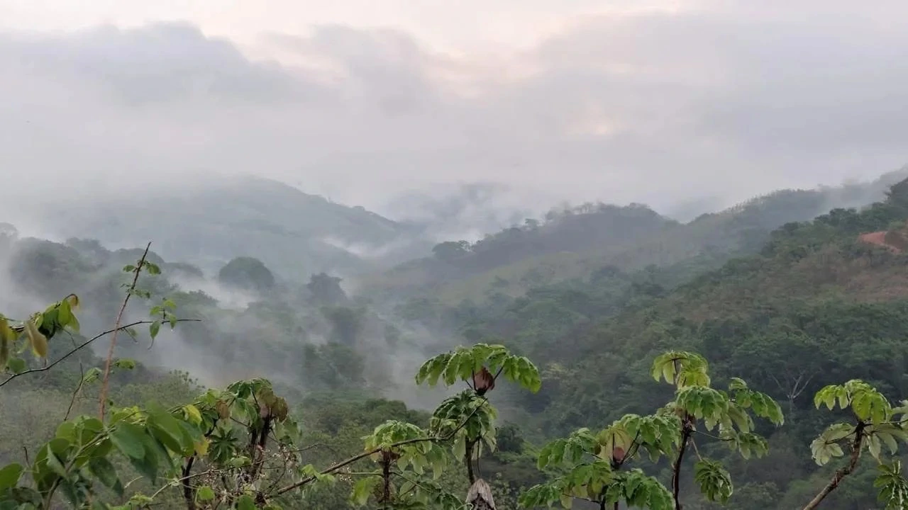 Lot 3: Ocean View Lots for Sale in Sunset Hills, Paquera, Costa Rica - Gallery image 19