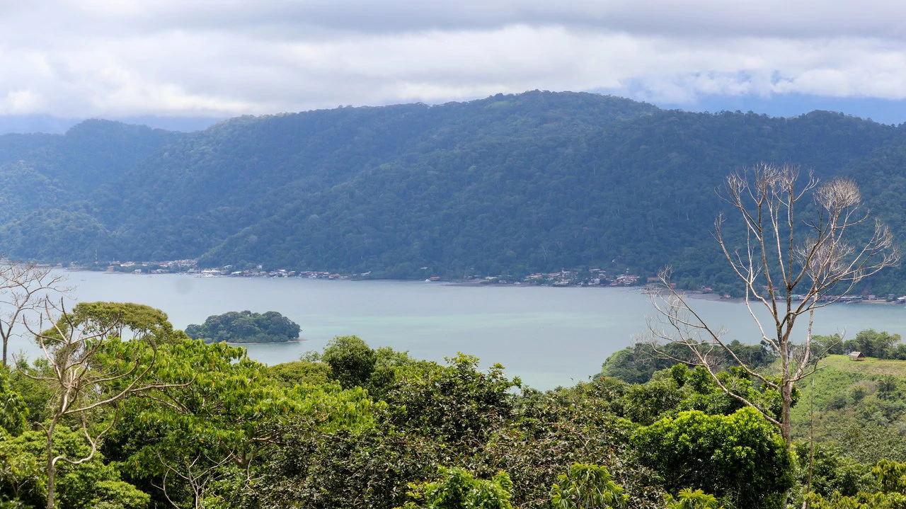 Unique Development Property Overlooking the Pristine Golfito Bay and Golfo Dulce - Gallery image 3