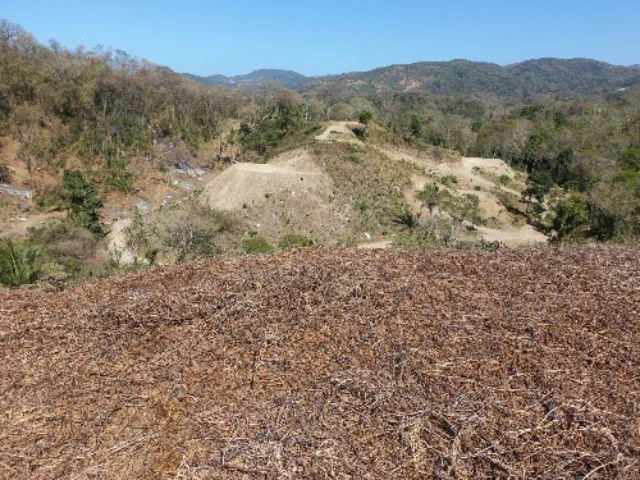 Building Lots for sale in a pristine and peacefull woodland 3 km from Samara Beach - Gallery image 6