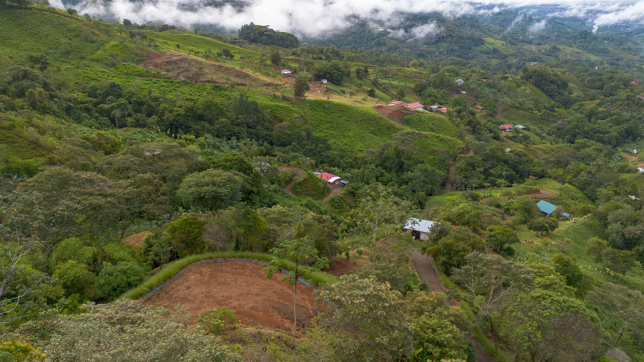 10.21 Acres with Views & Plantels – Pérez Zeledón - Gallery image 13