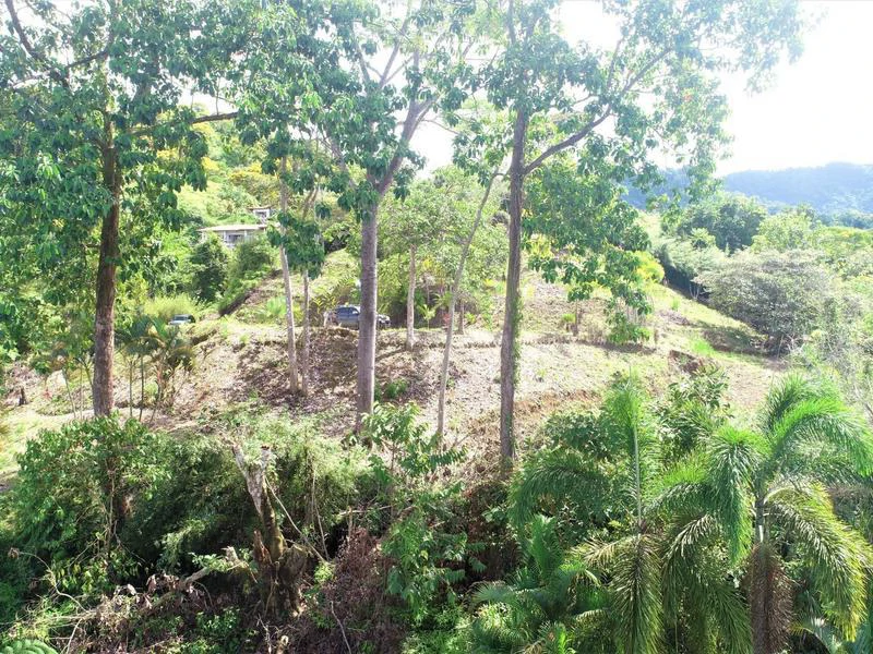 Captivating 3.15-Acre Property: Huge Pricedrop! Firesale Oceanview Lot in Tres Rios - Gallery image 15