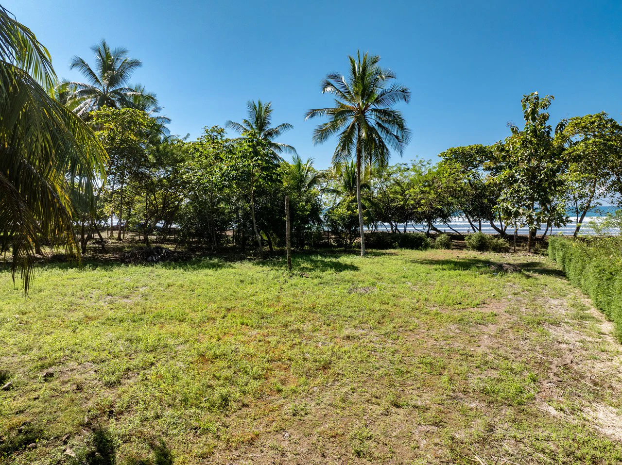 Exclusive Beachfront Opportunity south of Manuel Antonio Costa Rica - Gallery image 11