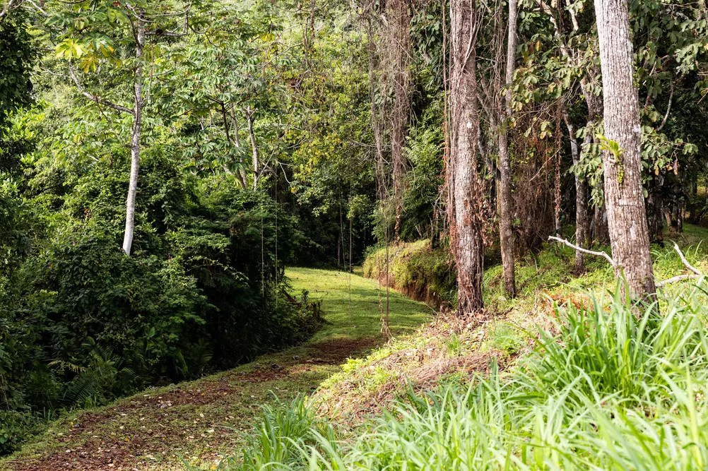 Ocean view farm for sale in Bejuco Nandayure Guanacaste Costa Rica - Gallery image 13