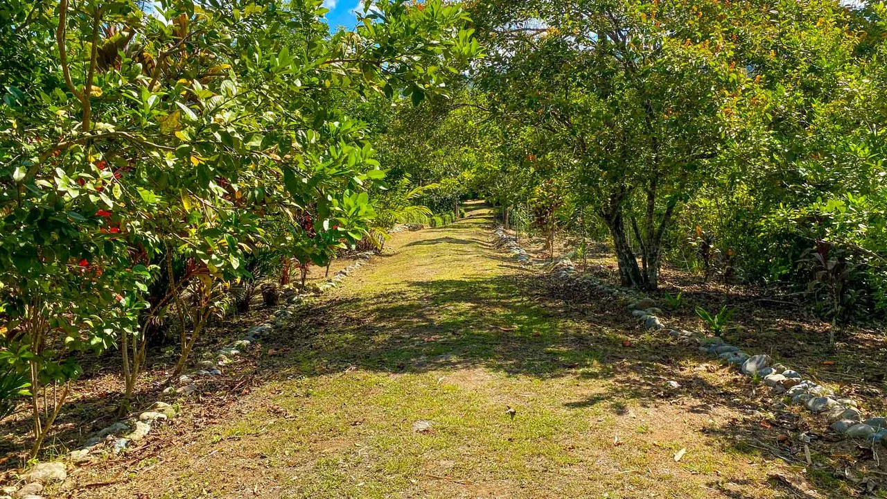 32 Acre Self Sustainable Farm with House Close Ojochal - Gallery image 51