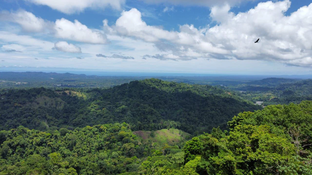 Amazing Tropical Sunsets!: 30 ha Ocean View property