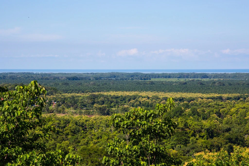 Casa Vista Hermosa: Nature refuge near Manuel Antonio National Park - Gallery image 17